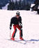 Click for current skiing conditions.