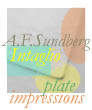 Intaglio prints and printmaking - Drypoint and engraving - Kaltnadel und Stiche - Puntasecca e bulino