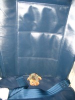 Click the Pic to see the larger photo!