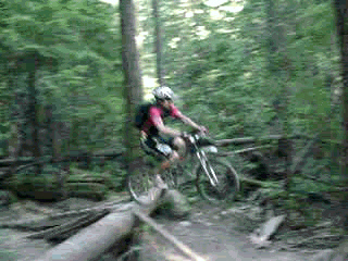 Pic: Freeriding on the North Shore