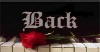 Back to my Designed By Women Quilt