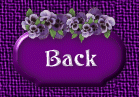 back button