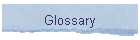 Glossary