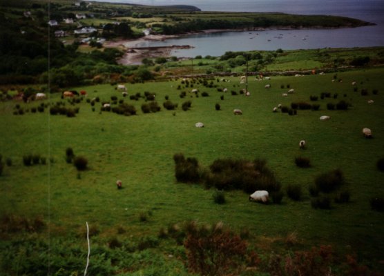 Wildes, grnes Irland