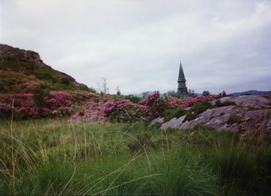 Rhododendronhaine