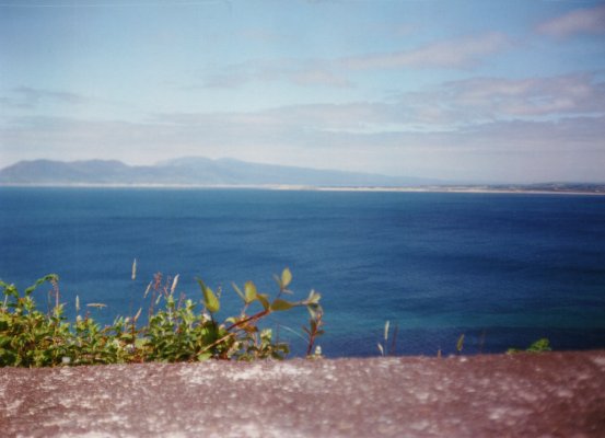 Rhododendronhaine