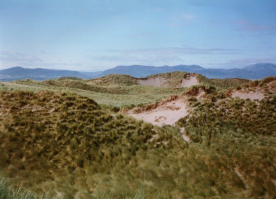 Dnenlandschaft