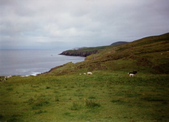 Kstenstrae Richtung Kenmare