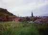 Rhododendron
