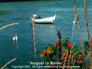 august.jpg