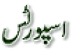 sports.gif (1279 bytes)
