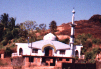 toor.gif (67653 bytes)