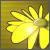 Flower with video effect