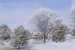 Kansas Winter