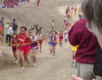 P1010318 (2)