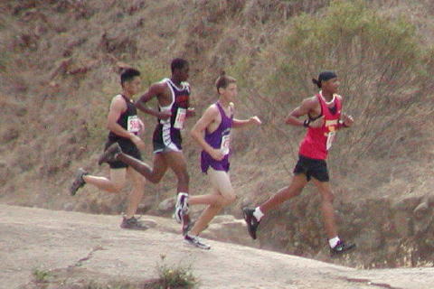 P1010445 (2)