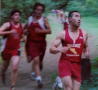 cross013
