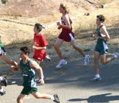 IMG_4308 a