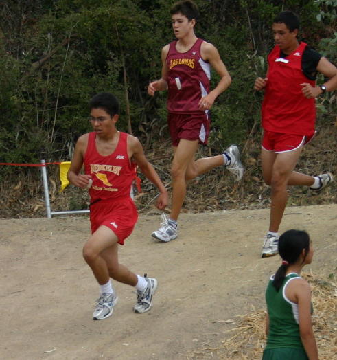 1_hayward037