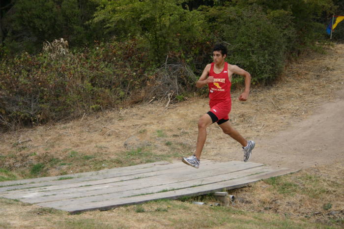 1_hayward039