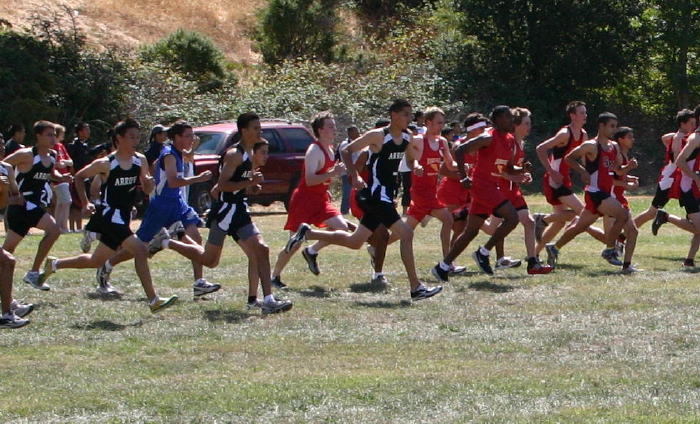1_hayward079
