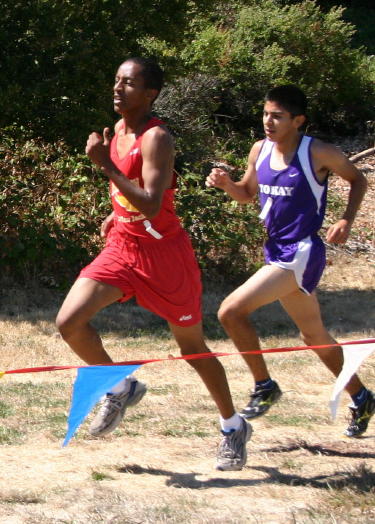 1_hayward094