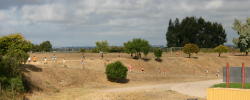 1_hayward000
