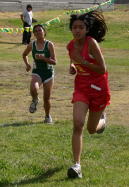 1_hayward016