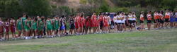 1_hayward021
