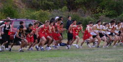 1_hayward022