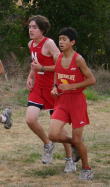 1_hayward031
