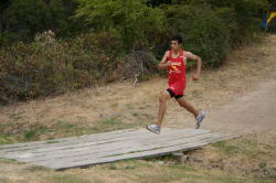 1_hayward039