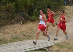 1_hayward043