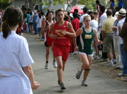 1_hayward053