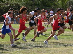 1_hayward061