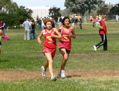1_hayward069