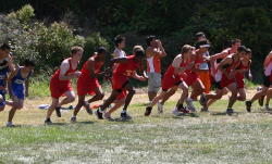 1_hayward078