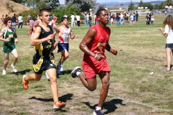 1_hayward081