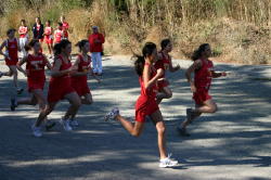 Tilden Park006