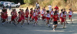 Tilden Park021