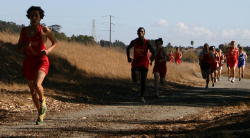 Point Pinole004