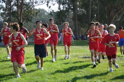 league champs019