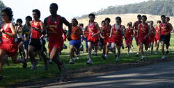 league champs020