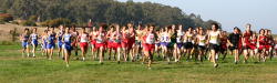 league champs067