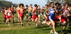 league champs069