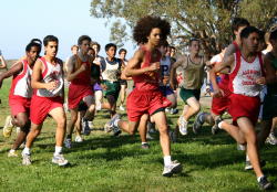 league champs070