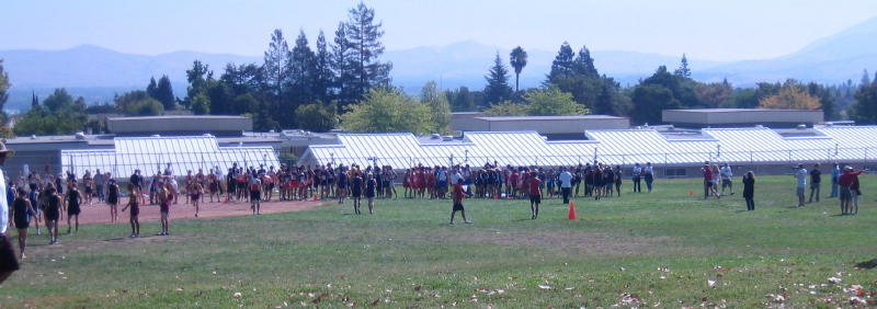 Ed Sias002