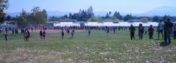 Ed Sias001