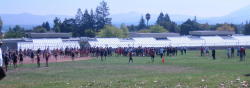 Ed Sias002