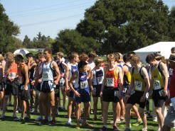 3_stanford002